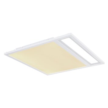 Globo SAMU Ceiling Light LED white, 1-light source, Remote control, Colour changer