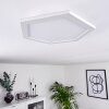 Fanebal Ceiling Light LED white, 1-light source
