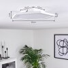 Fanebal Ceiling Light LED white, 1-light source