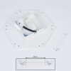 Fanebal Ceiling Light LED white, 1-light source