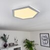 Fanebal Ceiling Light LED white, 1-light source