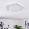 Fanebal Ceiling Light LED white, 1-light source