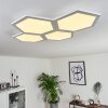 Fanebal Ceiling Light LED white, 1-light source