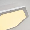 Fanebal Ceiling Light LED white, 1-light source