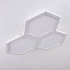Fanebal Ceiling Light LED white, 1-light source