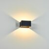 Tématou Outdoor Wall Light LED black, 1-light source