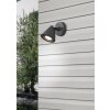 Trio Kaveri Outdoor Wall Light anthracite, 1-light source