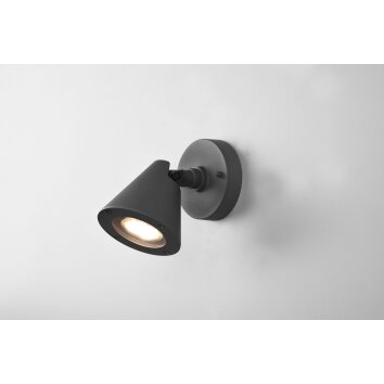 Trio Kaveri Outdoor Wall Light anthracite, 1-light source