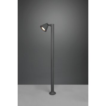 Trio Kaveri path light anthracite, 1-light source