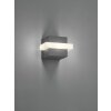 Trio Mitchell Outdoor Wall Light LED anthracite, 1-light source