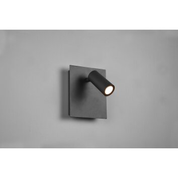 Trio Tunga Outdoor Wall Light LED anthracite, 1-light source