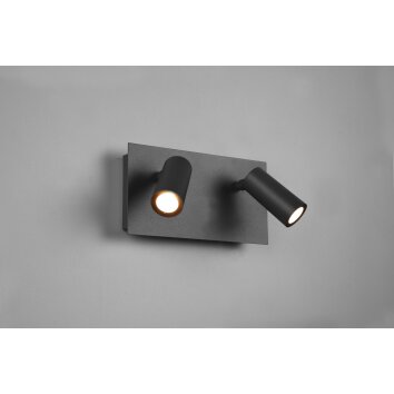 Trio Tunga Outdoor Wall Light LED anthracite, 2-light sources