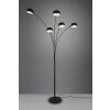 Reality Dito Floor Lamp black, 5-light sources