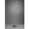 Reality Dito Floor Lamp dark brown, matt nickel, 5-light sources