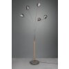 Reality Dito Floor Lamp dark brown, matt nickel, 5-light sources