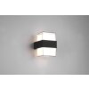 Reality Molina Outdoor Wall Light LED anthracite, 1-light source