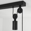 Manacales Pendant Light black, 2-light sources