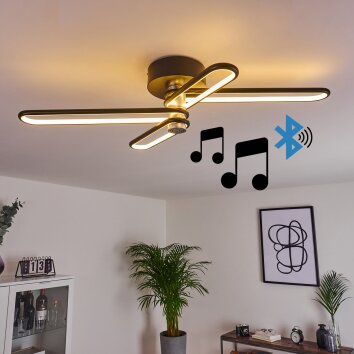 Olul Ceiling Light LED black, white, 2-light sources