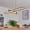 Omega Pendant Light LED black, 1-light source