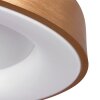Steinhauer Ringlede Ceiling Light gold, white, 1-light source