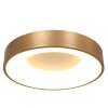 Steinhauer Ringlede Ceiling Light gold, white, 1-light source