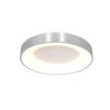 Steinhauer Ringlede Ceiling Light black, 1-light source