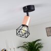Baripada Ceiling Light copper, black, 1-light source