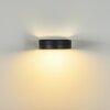 Falatasa Outdoor Wall Light LED anthracite, 1-light source