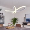 Pitasch Pendant Light LED white, 1-light source
