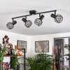 Palmira Ceiling Light black, 4-light sources