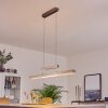 Inicio Pendant Light LED matt nickel, 5-light sources