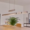 Inicio Pendant Light LED matt nickel, 5-light sources