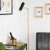 Zuoz Floor Lamp brass, black, 1-light source