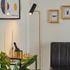 Zuoz Floor Lamp brass, black, 1-light source