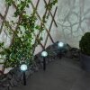 Colognole Set of 3 solar lights LED black, 1-light source