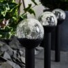 Colognole Set of 3 solar lights LED black, 1-light source