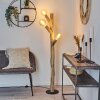 Pozos Floor Lamp Light wood, black, 3-light sources