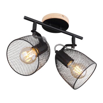 Globo JOSINA Spotlight brown, 2-light sources