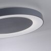 Leuchten Direkt ANIKA Ceiling Light LED anthracite, 1-light source, Remote control