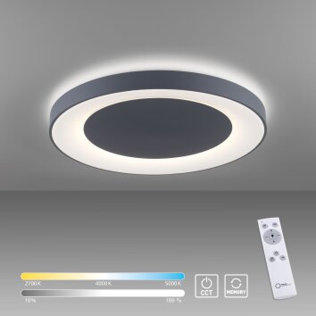 Leuchten Direkt ANIKA Ceiling Light LED anthracite, 1-light source, Remote control