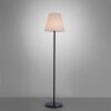 Leuchten Direkt HOLLY Floor Lamp LED black, 1-light source, Colour changer