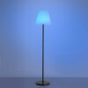 Leuchten Direkt HOLLY Floor Lamp LED black, 1-light source, Colour changer