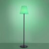 Leuchten Direkt HOLLY Floor Lamp LED black, 1-light source, Colour changer