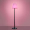 Leuchten Direkt HOLLY Floor Lamp LED black, 1-light source, Colour changer