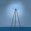 Leuchten Direkt HOLLY Floor Lamp LED black, 1-light source, Colour changer