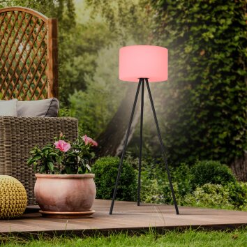 Leuchten Direkt HOLLY Floor Lamp LED black, 1-light source, Colour changer