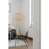 By Rydens Hayden Floor Lamp LED gold, 1-light source
