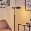 Norrlida Floor Lamp LED chrome, black, 1-light source