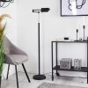 Norrlida Floor Lamp LED chrome, black, 1-light source