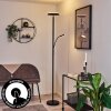 Wonsbek Floor Lamp LED black, 2-light sources
